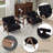 Modern Upholstered Accent Armchair Living Room Chair With Sherpa Arms, Black Sherpa Fabric, 2 Set-726338612