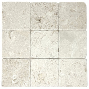 Carrelage en pierre fossile 4 po x 4 po