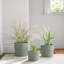 Mushroom Set of Three Ceramic Planters - 10" x 10" x 9"-1412844041