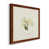 Maple Framed