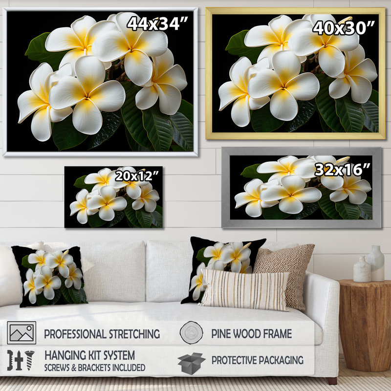 Blanc pureté de Plumeria Essence florale I - art mural Plumeria, Cadre doré à coins fermés, H 34 po x l 44 po x P 1,5 po