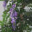 110cm Faux Flowering Tree in Metal Planter-1127337739