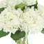 White, Blue And Green Hydrangea Bouquet-1603759550
