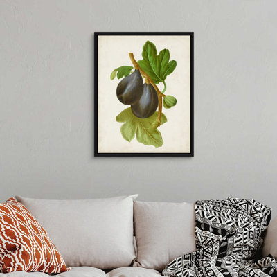 Antique Fruit VI - reproduction d'art sur toile