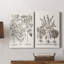 Toile tendue sépia Besler Botanicals I-Premium Gallery - prête à être accrochée-96088