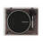 2 - Speed Turntable Decorative Record Player