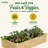 Katsuyoshi Wood Raised Garden Bed-689863066-689863015