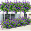 Plantes artificielles garanties artificielles, résistantes aux rayons UV et résistantes à la décoloration pour jardinières suspendues-503786372-503786379