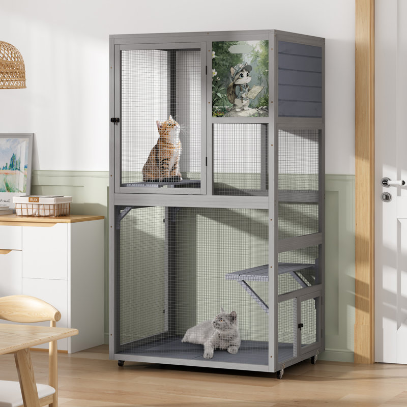 Portable Cat House