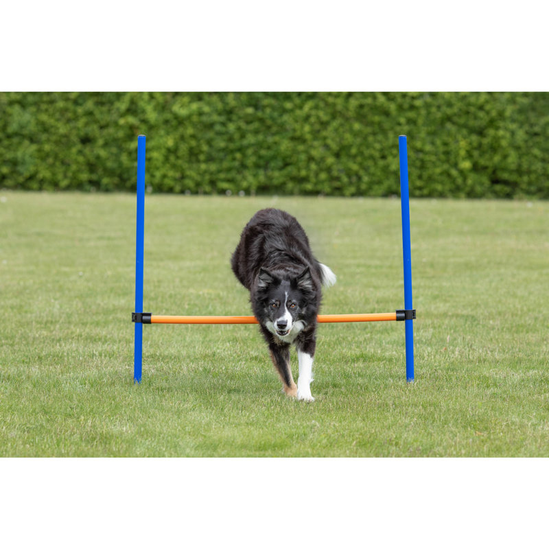 Adjustable Blue and Orange Dog Agility Hurdle