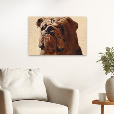 Bulldog - Animals Novelty Dogs Art