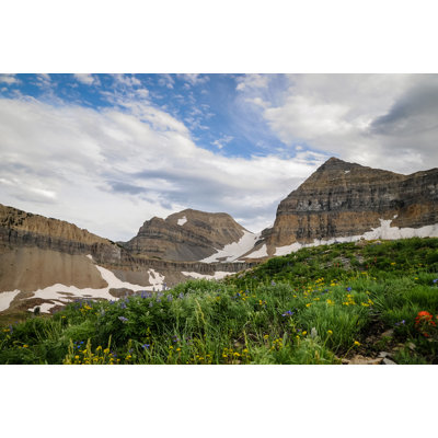 Scott Barlow - Photograph on Canvas