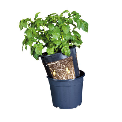 Pot pour chambre de bébé Krystopher