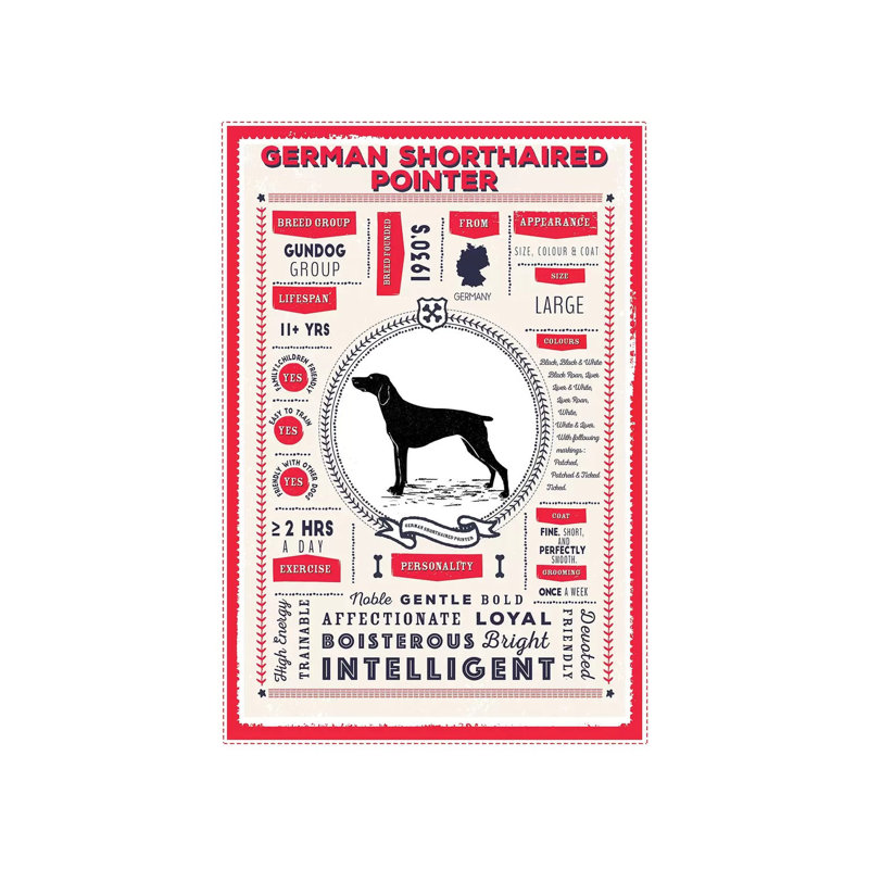 «German Short Haired Pointer», infographie - rouge par PaperPaintPixels - impression sur toile tendue