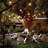 50ft Patio String Light, Waterproof, 24 Sockets, 36 Bulbs Included, E26 Base, For Festivals, Garden