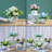 Capps Arrangement in Pot