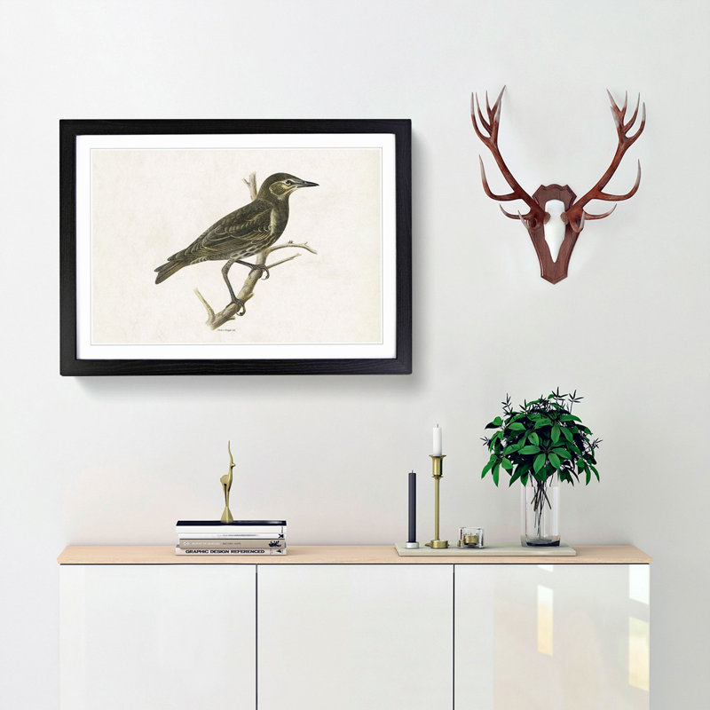 Starling by Von Wright - Framed Print, 27cm H x 36cm W x 2cm D, Black Framed