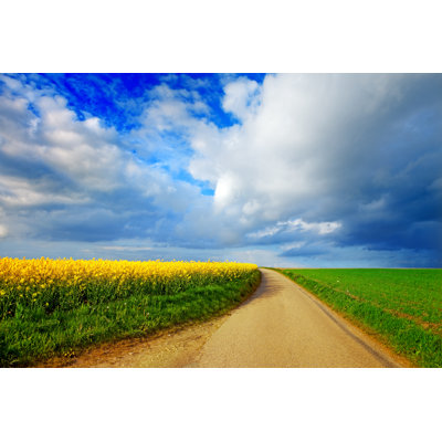 Sunny Landscape by Lorado