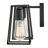 2-Light Open Cage Bath Vanity Fixture