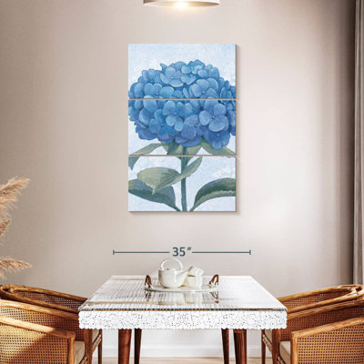 Hortensia bleu Harnek II