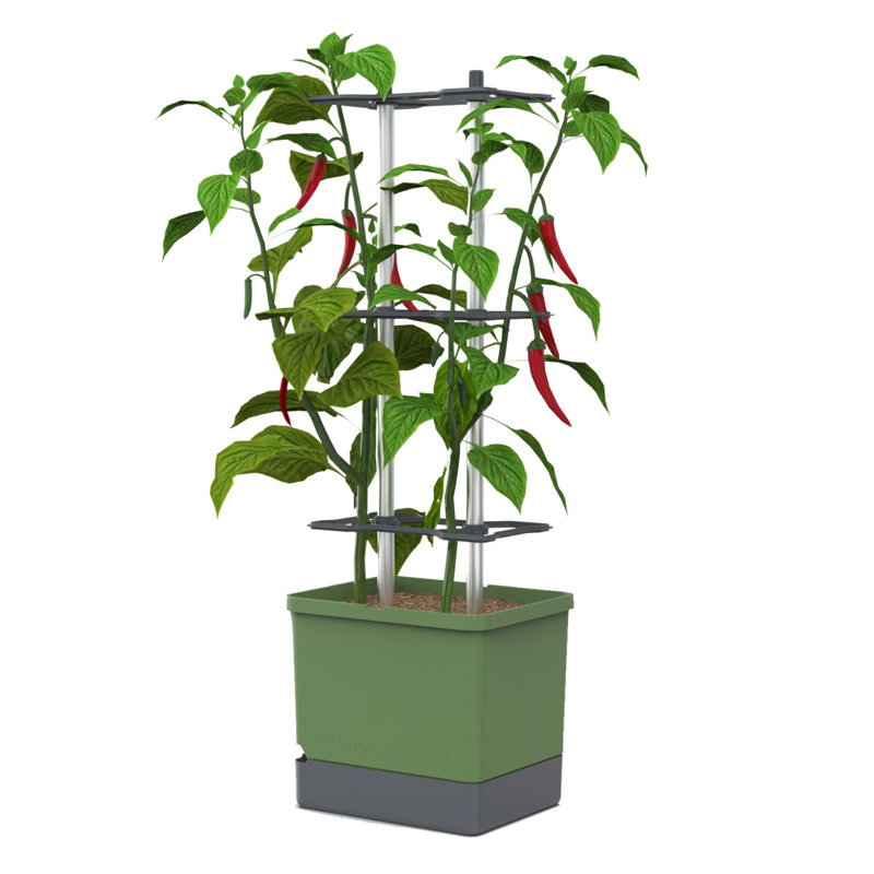 Charly Chili Regular, Planter Pot, Aluminum Climbing Aid, Self-Watering, 4.5L Water Reservoir, 10L Soil Capacity, Green