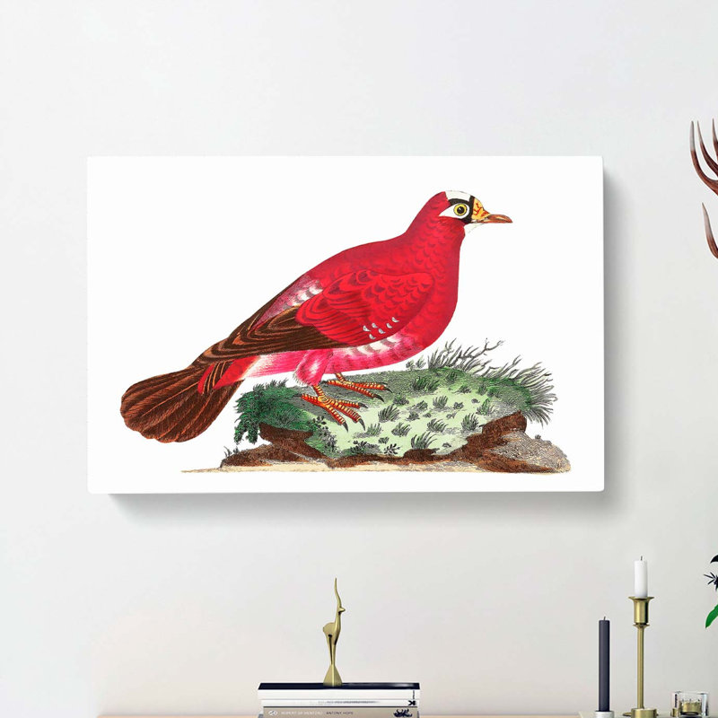 Crimson Pigeon by George Shaw - Wrapped Canvas Painting, 40cm H x 60cm W x 3cm D