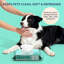Lingettes de toilettage pour chien hydratantes, hypoallergéniques et biodégradables avec aloès, camomille et beurre de karité (100 unités)
