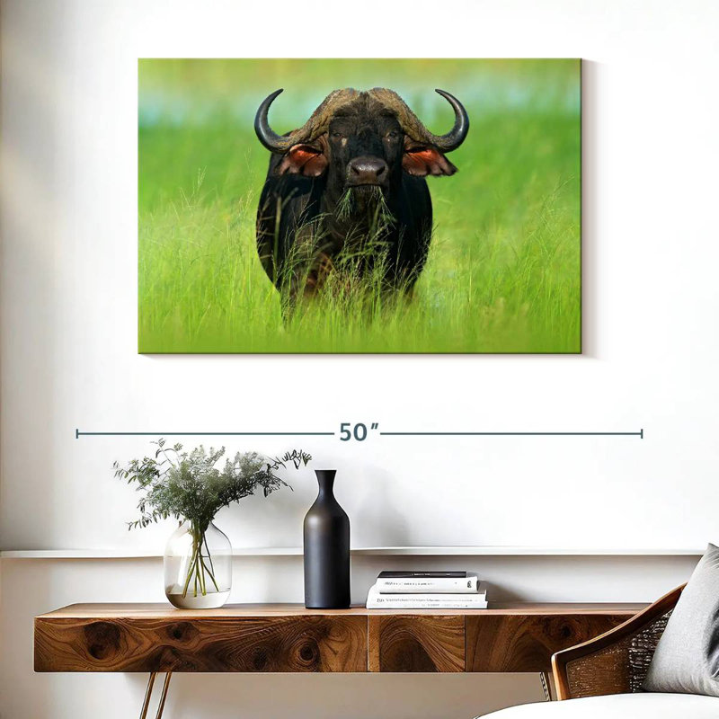 Manger du bison, H 26 po x l 39 po