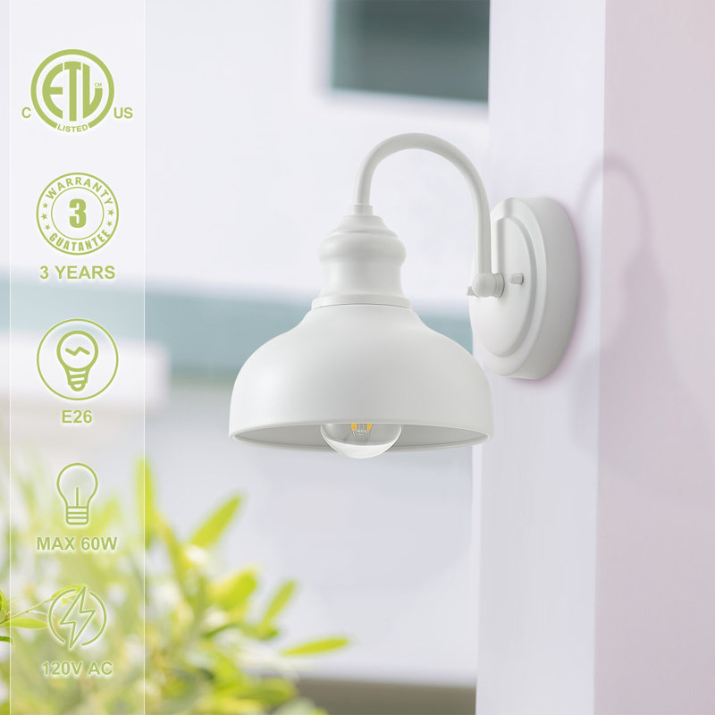 Adilson Wall Light, 1 Light