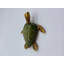Ned Turtles-1073207295