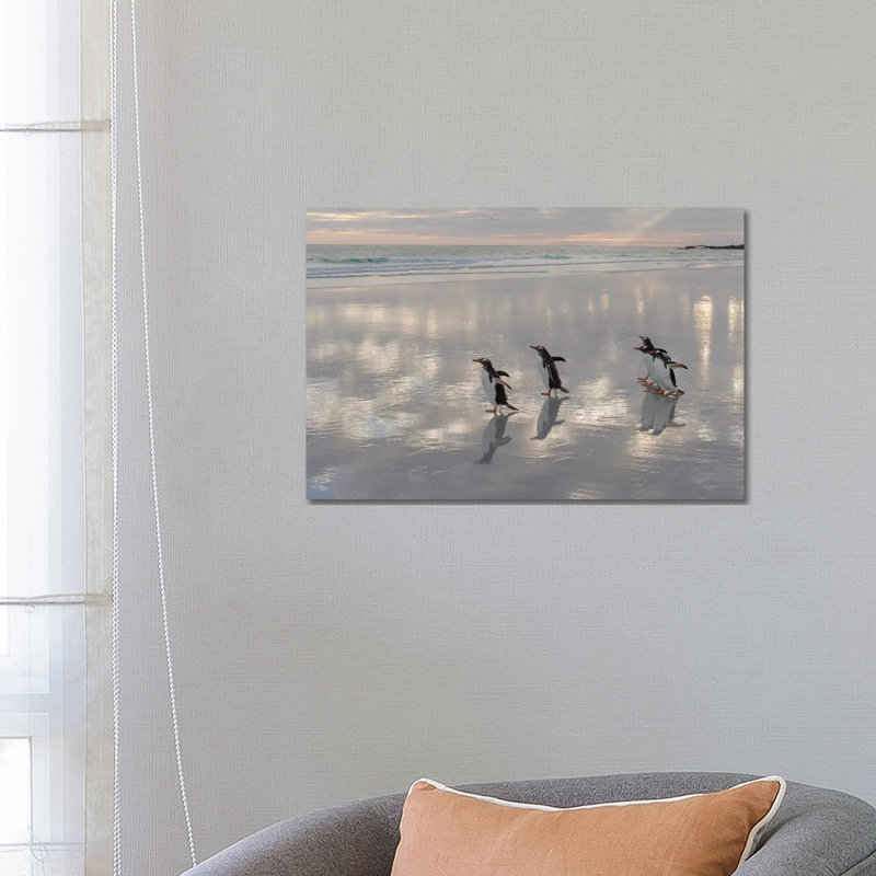 Gentoo Penguin on the Sandy Beach of Volunteer Point, Falkland Islands 1 Piece Wrapped Canvas Wall Art