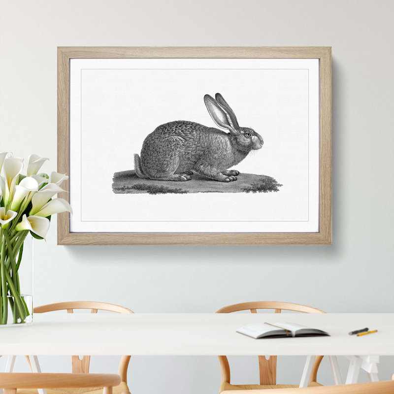 Illustration of a Hare - Framed Print, 36cm H x 48cm W x 2cm D, Oak Framed