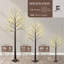 4FT Artificial Brown Twinkling Birch Tree w/ 48 LED Lights, 48 Inch Brown Lighted Twig Tree for Holiday Decor   -1137020820-1115419504
