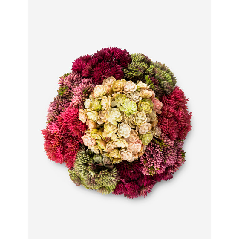 Elias Sedum Arrangement, Red/Beige/Green