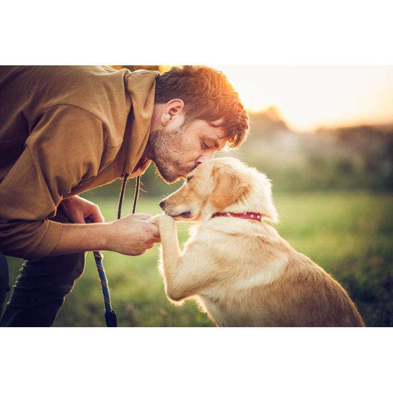 Happy Man Training With His Dog In The Nature by Nevena1987 - No Frame Art Prints on Canvas, 61cm H x 91cm W