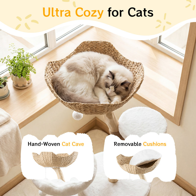 Natural Branch Solid Wood Cat Tree, Wood