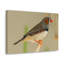 Art mural majestueux Zebra Finch-901994880