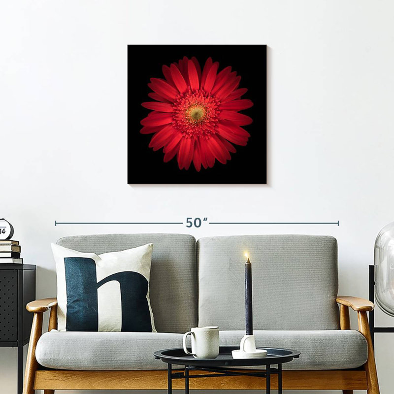 Arney Bright Red Daisy, 24" H x 24" W