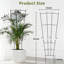 Ensemble de 4 plantes grimpantes en métal pour plantes d'intérieur et d'extérieur en pot