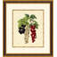 Vivid Cherries Print