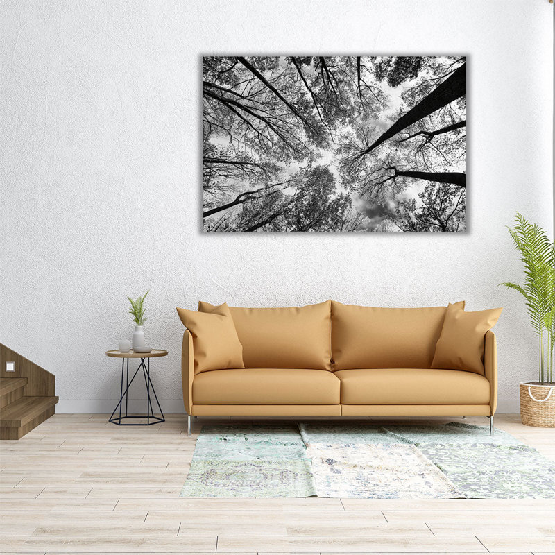 «Look Up I Black and White», reproduction d'art sur toile, H 12 po x l 18 po
