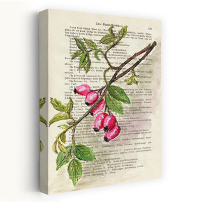 Branche avec baies d'églantier, aquarelle, étude de la nature, art mural végétal contemporain et énergique