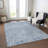  Machine Washable Indoor/Outdoor Chayden ACN1030 Rug-307195892