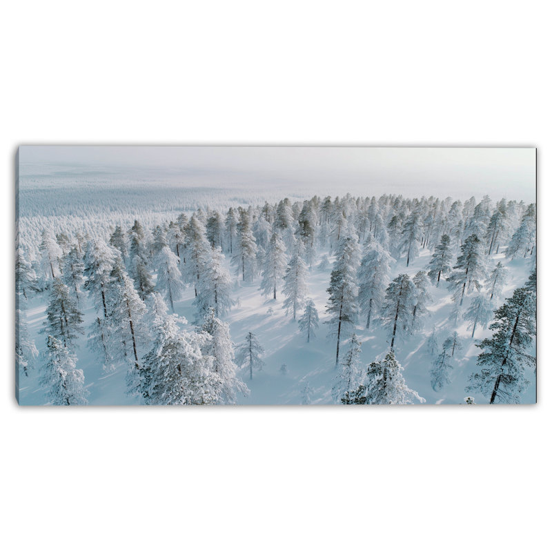 Art mural sur toile Silent Snowy Ridge, H 24 po x l 48 po