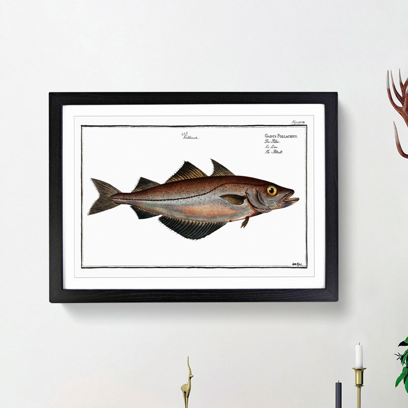 Pollock Fish by M.E. Bloch - Picture Frame Painting Print, 48cm H x 65cm W x 2cm D, Black Framed