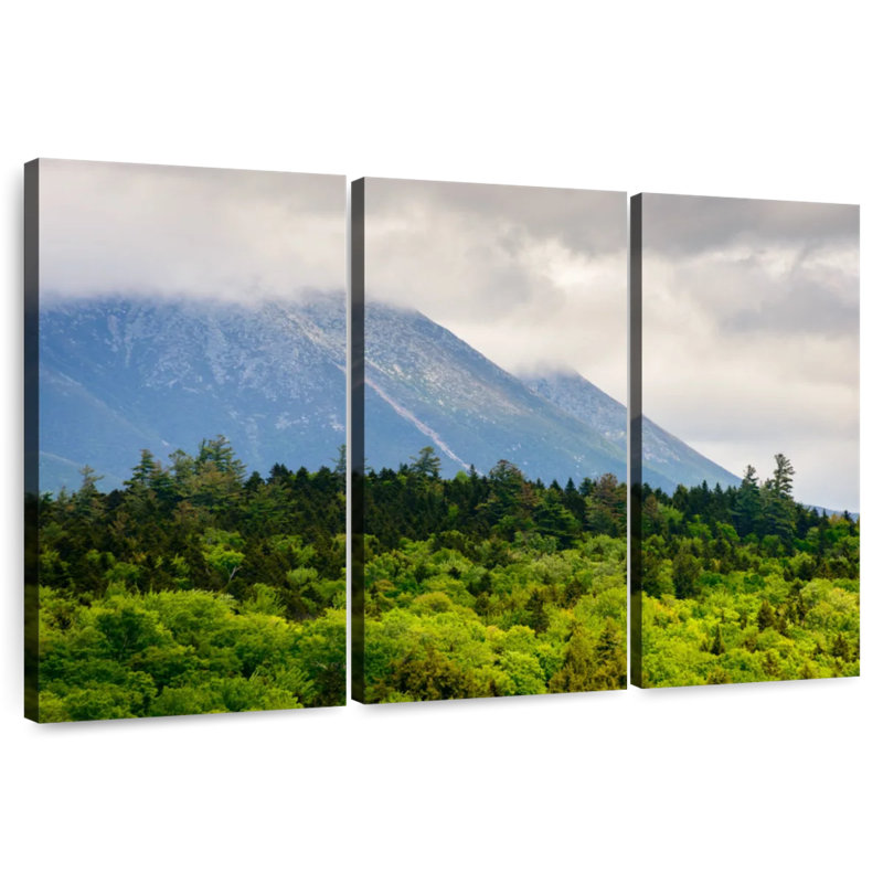 Alvord Mt. Katahdin Lush Forest, H 24 po x l 38 po
