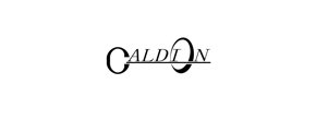 Caldion Logo