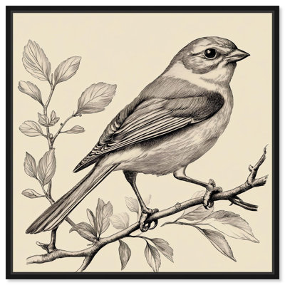 Bird's Gaze Canvas Vintage Illustrations by Art Remedy