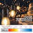 Burroughs  48' Outdoor 15 - Bulb Standard String Light-279005452