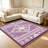Purple Southwestern Geometric carpet-easy to clean, machine-washable, soft and comfortable; suitable for door mats, kitchens, living rooms, bedrooms, corridors, and laundry areas. Easy to clean, durable carpet for home decoration.-129890102